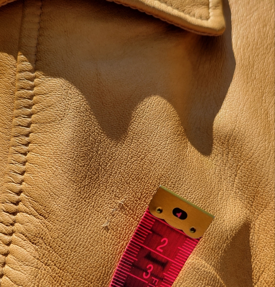 🇨🇦 Gorgeous Danier leather jacket | classic camel colour | blazer-style | Sz S - Picture 11 of 13